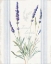 Picture of FLOURSACK LAVENDER I
