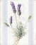 Picture of FLOURSACK LAVENDER III