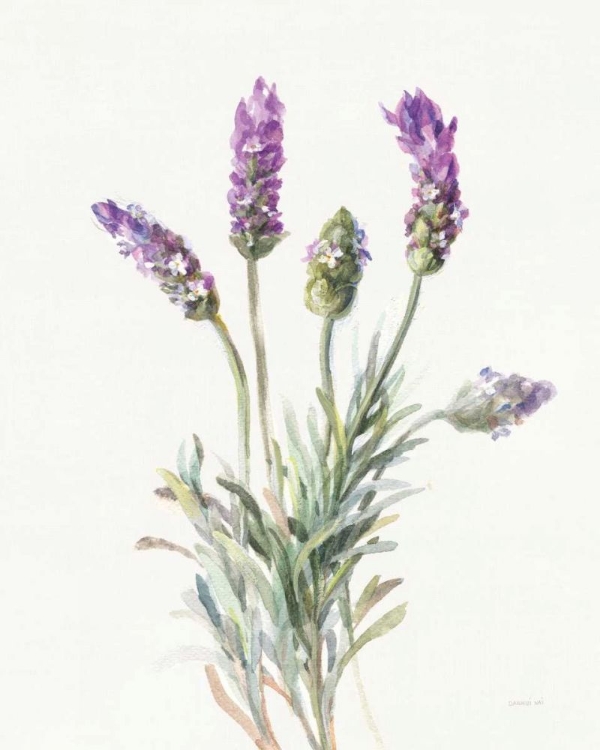 Picture of FLOURSACK LAVENDER II ON LINEN