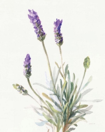 Picture of FLOURSACK LAVENDER III ON LINEN