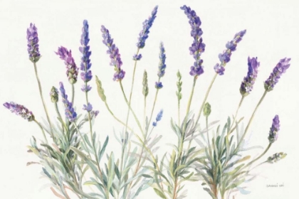 Picture of FLOURSACK LAVENDER V ON LINEN