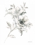 Picture of SKETCHBOOK GARDEN VII BW
