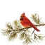 Picture of CARDINAL CHRISTMAS V ON WHITE