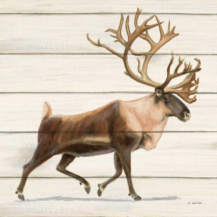 Picture of NORTHERN WILD IV ON WOOD