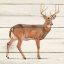 Picture of NORTHERN WILD V ON WOOD