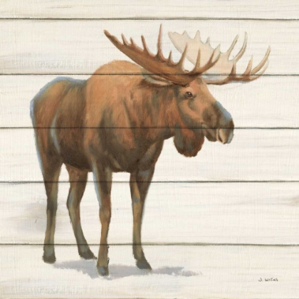 Picture of NORTHERN WILD VI ON WOOD