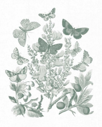 Picture of BUTTERFLY BOUQUET II SAGE