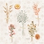 Picture of COTTAGE CHARM VIII