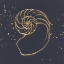 Picture of GOLD NAUTILUS II