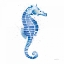 Picture of SEAHORSE
