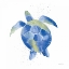 Picture of SEA TURTLE