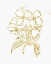 Picture of GOLD BLOOMS III