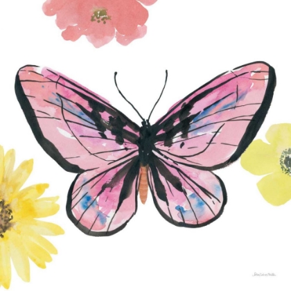 Picture of BEAUTIFUL BUTTERFLY I PINK