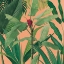 Picture of DRAMATIC TROPICAL I BOHO