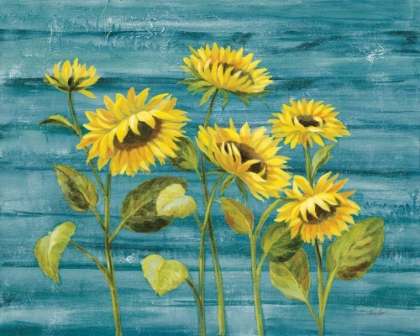Picture of COTTAGE SUNFLOWERS TEAL