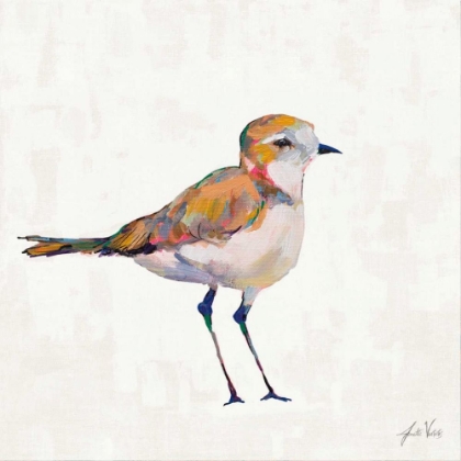 Picture of COASTAL PLOVER III LINEN