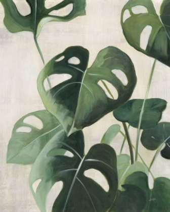 Picture of TROPICAL STUDY IV