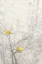 Picture of BIRDS IN TREES II