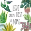 Picture of PLANT HOME III