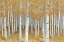 Picture of FOREST OF GOLD