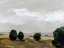 Picture of AUTUMN FIELDS