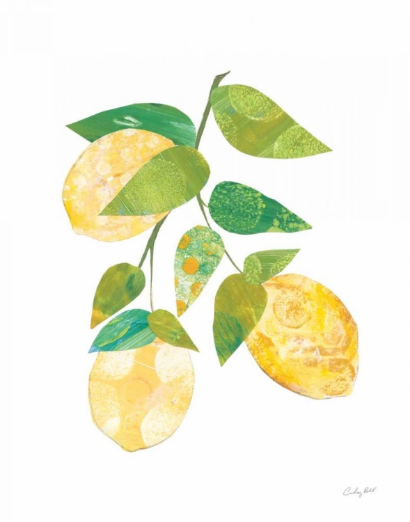 Picture of SUMMER LEMONS I