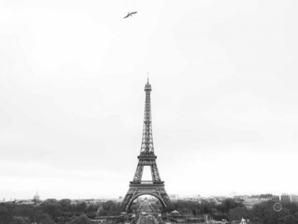 Picture of A BIRDS VIEW OF PARIS