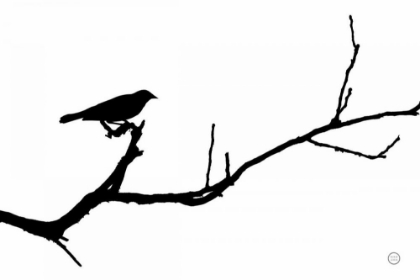 Picture of BIRD SILHOUETTE