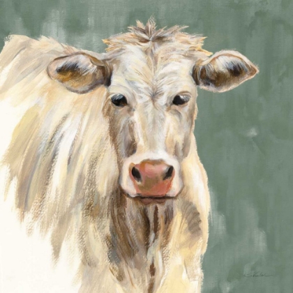 Picture of WHITE COW ON SAGE