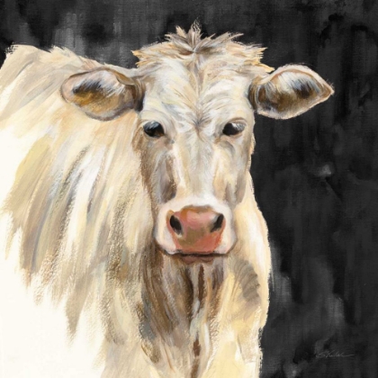 Picture of WHITE COW ON BLACK