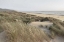 Picture of OREGON DUNES