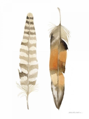 Picture of NATURAL FEATHERS II
