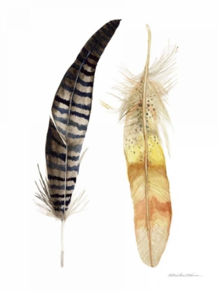 Picture of NATURAL FEATHERS III