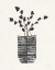 Picture of SHADOW VESSEL I