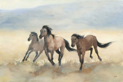 Picture of WILD MUSTANGS