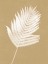 Picture of NATURE BY THE LAKE FERNS III BROWN