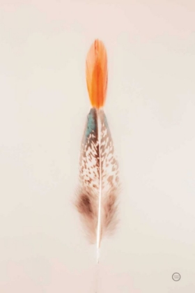 Picture of FLOATING FEATHERS I
