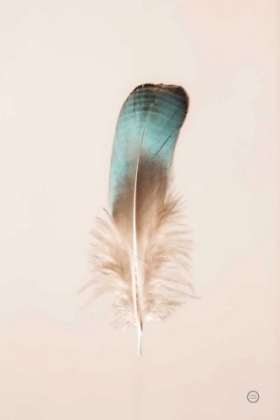 Picture of FLOATING FEATHERS IV