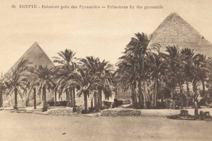Picture of EGYPT POSTCARD II