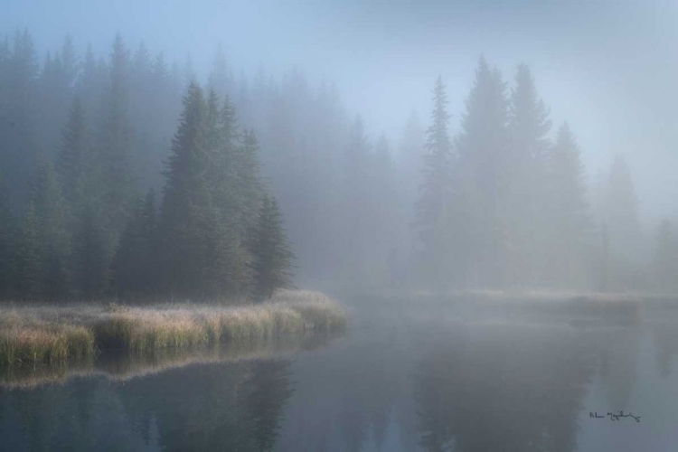 Picture of GRAND TETON LAKE FOG