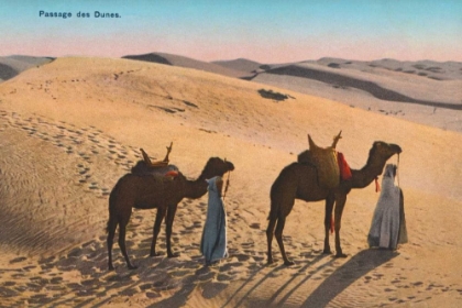 Picture of DESERT CROSSING