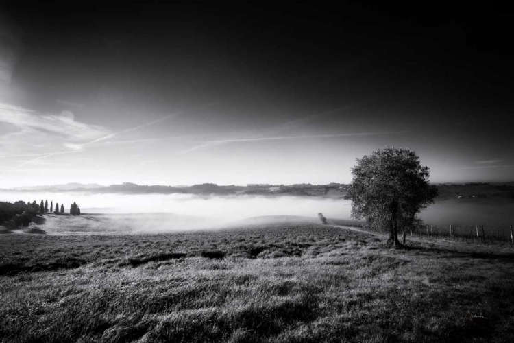 Picture of VALLEY FOG