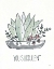 Picture of A PLANTS LIFE II