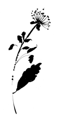 Picture of SILHOUETTE FLORAL III