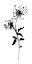 Picture of SILHOUETTE FLORAL IV