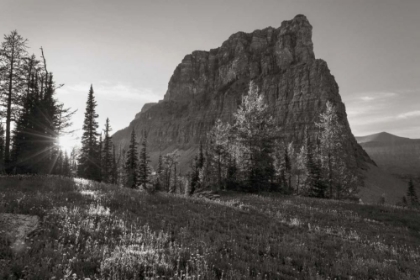 Picture of BOULDER PASS GLACIER NATIONAL PARK BW