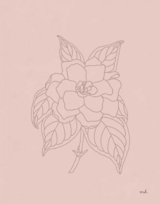 Picture of GARDENIA LINE DRAWING PINK