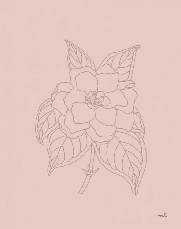 Picture of GARDENIA LINE DRAWING PINK