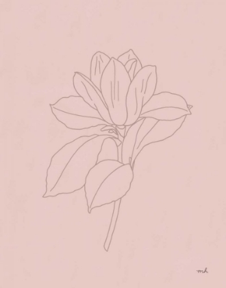 Picture of MAGNOLIA LINE DRAWING PINK