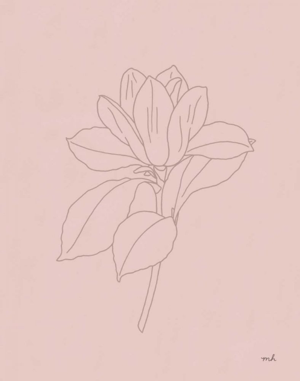Picture of MAGNOLIA LINE DRAWING PINK
